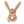 Laden Sie das Bild in den Galerie-Viewer, Rassel Bunny - Riverside