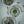 Laden Sie das Bild in den Galerie-Viewer, Teller Stripes - gentle green