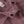 Laden Sie das Bild in den Galerie-Viewer, NBFRITA SIG LS SLIM BODY LIL