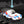 Laden Sie das Bild in den Galerie-Viewer, PRESTO RACERS - ACE (WHITE)