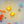 Laden Sie das Bild in den Galerie-Viewer, GLO PALS DANIEL TIGER CUBES BROWN