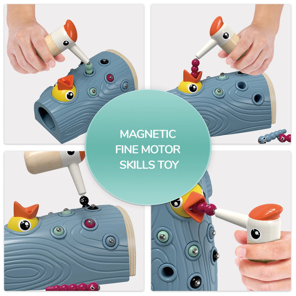 Füttere den Specht! - Montessori