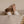 Laden Sie das Bild in den Galerie-Viewer, Vegan Shoes Teddy Shoes - Chocolate