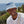 Laden Sie das Bild in den Galerie-Viewer, Lobster Forever - bucket hat