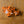 Laden Sie das Bild in den Galerie-Viewer, Holzpuzzle Tiger