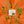 Laden Sie das Bild in den Galerie-Viewer, GLO PALS FUN FILLERS - SAFARI