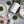 Laden Sie das Bild in den Galerie-Viewer, Becher Stripes - morning azzurro