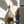Laden Sie das Bild in den Galerie-Viewer, Belt Bag Small Canvas Leo vanilla