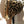 Laden Sie das Bild in den Galerie-Viewer, Belt Bag Small Canvas Leo vanilla