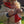 Laden Sie das Bild in den Galerie-Viewer, Pink corduroy Waist bag | Child or Adult