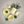 Laden Sie das Bild in den Galerie-Viewer, Teller Stripes - spiaggia yellow