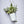 Laden Sie das Bild in den Galerie-Viewer, Vase Stripes - morning azzurro