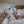 Laden Sie das Bild in den Galerie-Viewer, Vegan Shoes - Tiny Hearts