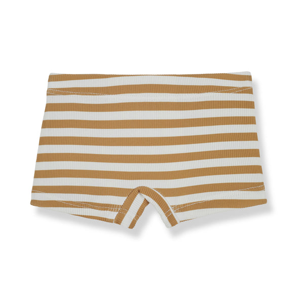 Striped Swimshorts Havana