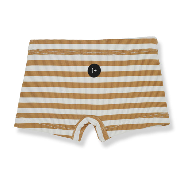 Striped Swimshorts Havana