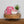 Laden Sie das Bild in den Galerie-Viewer, Hoppstar Artist blush