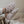 Laden Sie das Bild in den Galerie-Viewer, Vegan Shoes - Woodland
