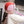 Laden Sie das Bild in den Galerie-Viewer, Gla Gla Club Chapka | Pink & Orange