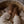 Laden Sie das Bild in den Galerie-Viewer, Vegan Shoes Teddy Shoes - Chocolate