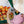 Laden Sie das Bild in den Galerie-Viewer, Hoppstar Expert blush