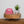 Laden Sie das Bild in den Galerie-Viewer, Hoppstar Expert blush
