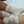 Laden Sie das Bild in den Galerie-Viewer, Organic Socks - DAD - Sand