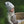 Laden Sie das Bild in den Galerie-Viewer, Organic Rib Beanie - Wildflowers