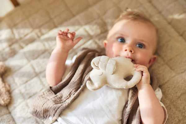 Rassel - Elephant Tales