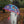 Laden Sie das Bild in den Galerie-Viewer, Regenschirm- Dancin' in the Rain