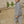 Laden Sie das Bild in den Galerie-Viewer, Fender overshirt