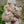 Laden Sie das Bild in den Galerie-Viewer, Jody Outdoor Strampler ma grande cerise