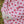 Laden Sie das Bild in den Galerie-Viewer, 2 Pack Filla Handschuhe cherry/stripe