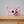Laden Sie das Bild in den Galerie-Viewer, Hoppstar ROOKIE blush