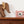 Laden Sie das Bild in den Galerie-Viewer, Hoppstar ROOKIE blush