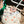 Laden Sie das Bild in den Galerie-Viewer, Hoppstar ROOKIE blush