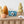 Laden Sie das Bild in den Galerie-Viewer, Hoppstar ROOKIE yale