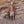Laden Sie das Bild in den Galerie-Viewer, Lemons | Swim Shorts | Shortbread