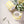 Laden Sie das Bild in den Galerie-Viewer, Espresso Stripes - spiaggia yellow (2er Set - 4 Teile)