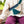 Laden Sie das Bild in den Galerie-Viewer, Petrol corduroy Waist Bag | Child or Adult