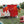 Laden Sie das Bild in den Galerie-Viewer, Happy Birthday Zirkus Banner, 275 cm