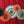 Laden Sie das Bild in den Galerie-Viewer, Zirkus-Dekorative Rosetten, Set, 26-43 cm