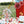 Laden Sie das Bild in den Galerie-Viewer, Zirkus-Dekorative Rosetten, Set, 26-43 cm