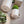 Laden Sie das Bild in den Galerie-Viewer, Becher Stripes - boho beige