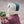 Laden Sie das Bild in den Galerie-Viewer, Dream Team Chapka | Teal Green & Pale Green