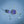 Laden Sie das Bild in den Galerie-Viewer, Espresso Stripes - mare blue (2er Set - 4 Teile)