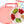 Laden Sie das Bild in den Galerie-Viewer, GoBe - 2in1 Lunchbox & Snack Spinner Sticker Edition