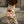 Laden Sie das Bild in den Galerie-Viewer, FAIRE RAIN SET