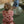 Laden Sie das Bild in den Galerie-Viewer, GLITTER JUMP BALL