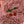 Laden Sie das Bild in den Galerie-Viewer, GLITTER JUMP BALL