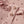 Laden Sie das Bild in den Galerie-Viewer, NMFGAGO KIS LS SLIM TOP LIL